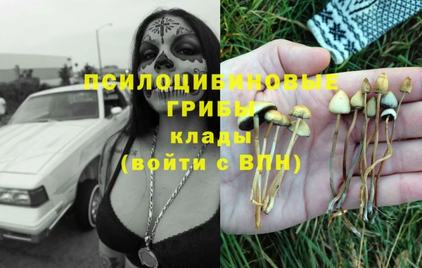дмт Зеленодольск